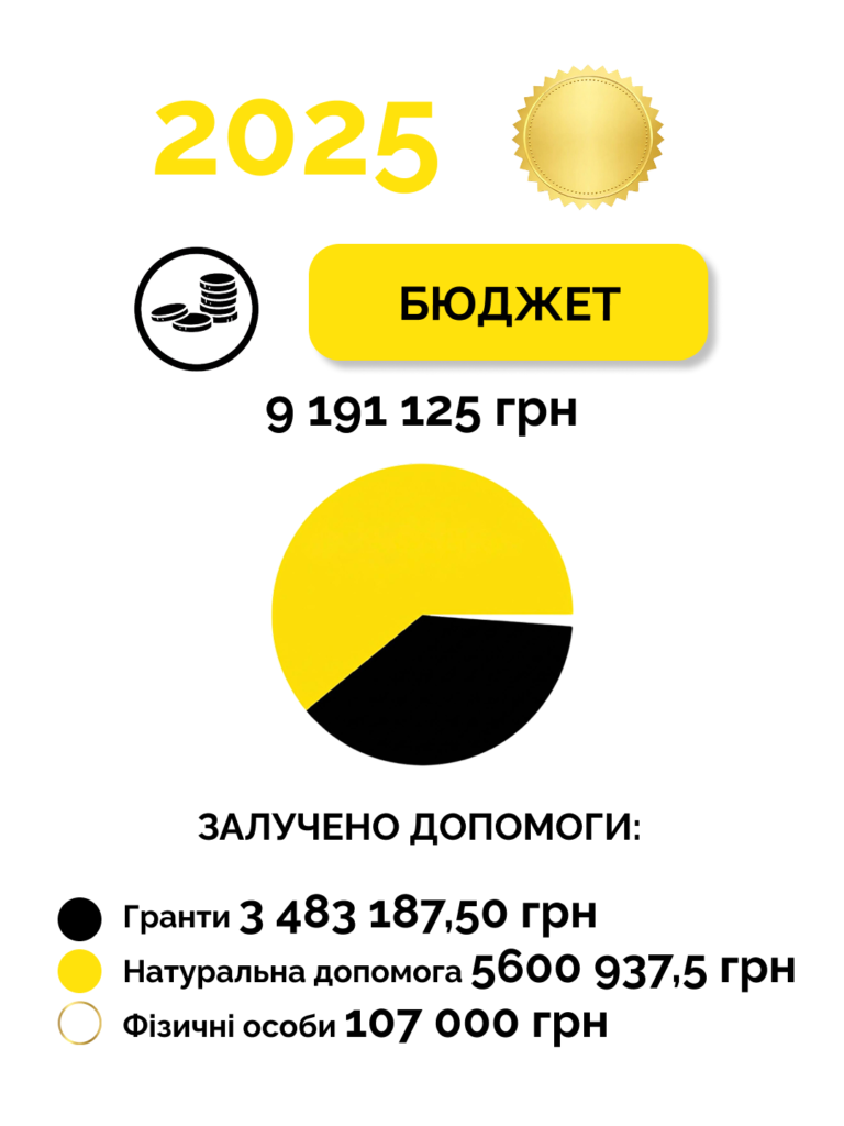 Графік структури надходжень бюджету фонду за 2025 рік: гранти, внески благодійників та партнерів.